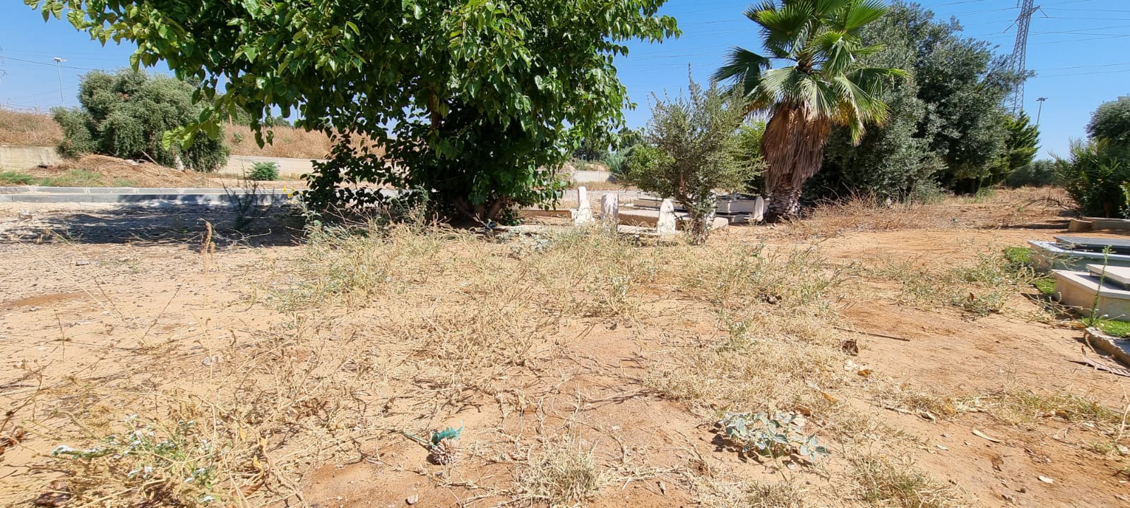 WhatsApp Image 2021-07-06 at 9.37.19 AM.jpeg